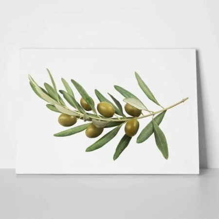 Πινακας σε καμβά OLIVE BRANCH