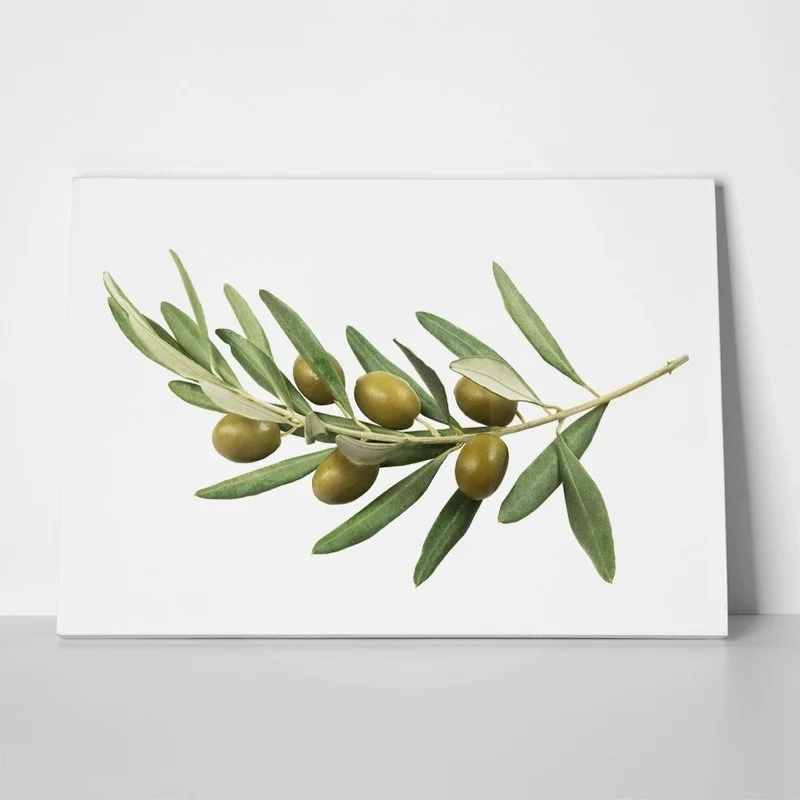 Πινακας σε καμβά OLIVE BRANCH