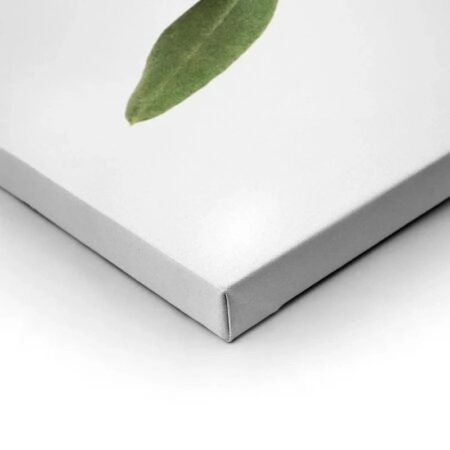 Πινακας σε καμβά OLIVE BRANCH - Botanical - Φυτα Sticky 1