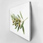 Πινακας σε καμβά OLIVE BRANCH
