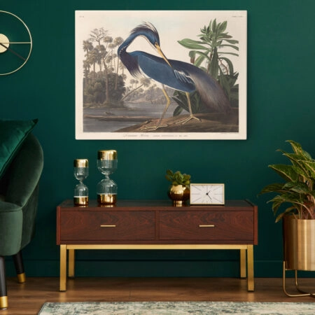 Πινακας σε καμβά AUDUBON - LOUISIANA HERON