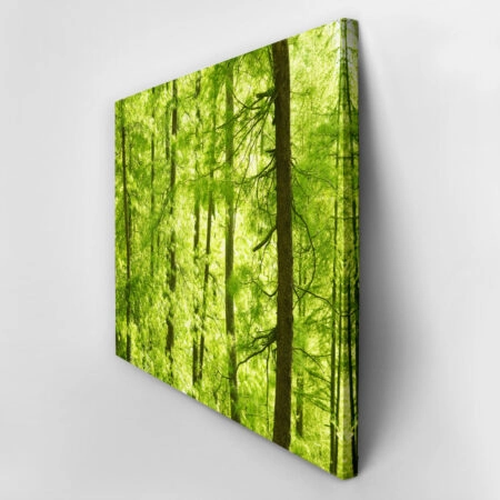 Πινακας σε καμβά GREEN FOREST - Δασος Sticky 2