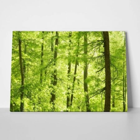 Πινακας σε καμβά GREEN FOREST - Δασος