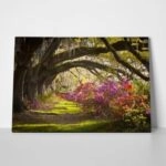 Πινακας σε καμβά MOSS AZALEA