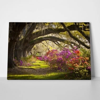 Πινακας σε καμβά MOSS AZALEA - Δασος