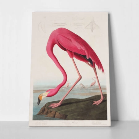 Πινακας σε καμβά PINK FLAMINGO - Αλλοι ζωγραφοι Sticky 1