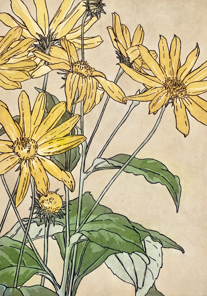 Πινακας σε καμβά WATERCOLOR SUNFLOWERS