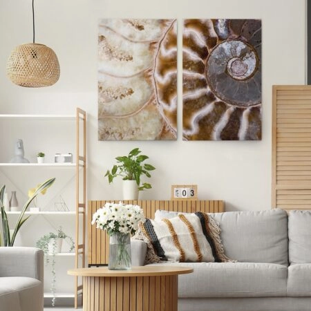 Σετ Δίπτυχος Πινακας σε καμβά AMMONITE