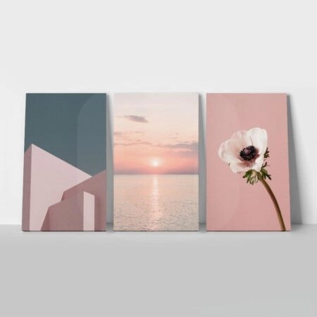 Σετ Τριπτυχος Πινακας σε καμβά PINK MINIMALISM - Ανεμωνες Sticky 1
