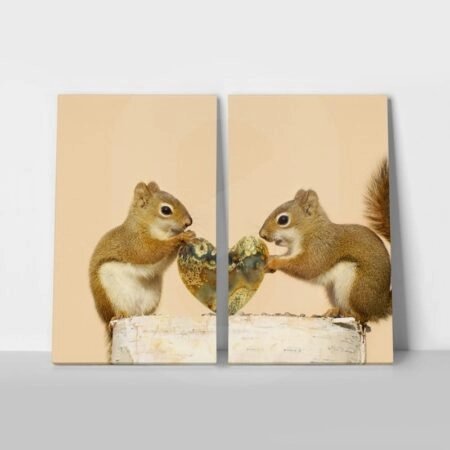 Σετ Δίπτυχος Πινακας σε καμβά SQUIRRELS - Ζωα Sticky 1