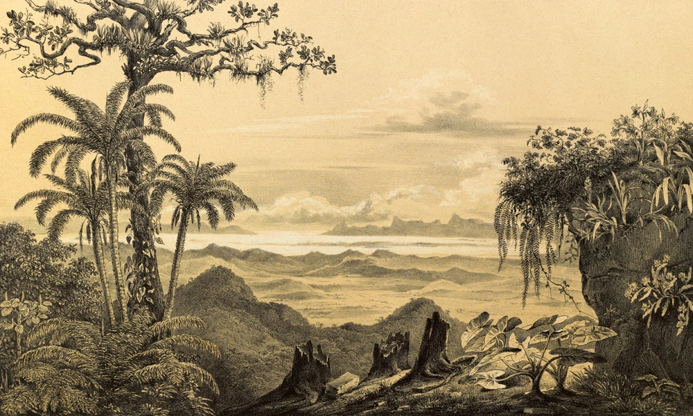 crop image