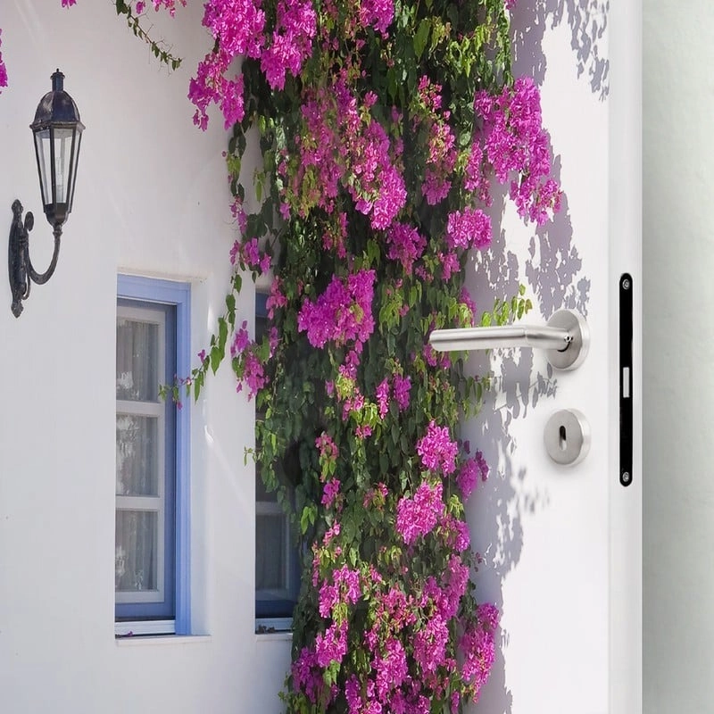 Αυτοκολλητο Πορτας BOUGAIVILLEA WINDOW