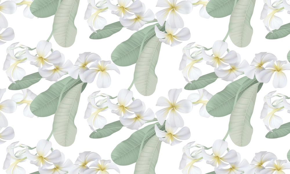 crop image