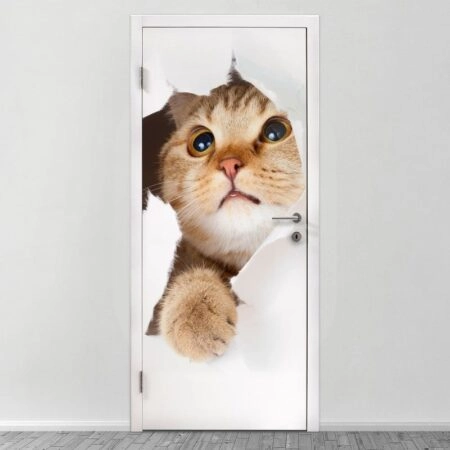 Αυτοκολλητο Πορτας LITTLE CAT
