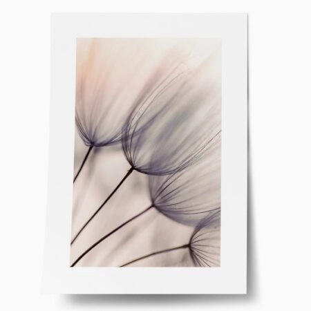 Πόστερ ABSTRACT DANDELION FLOWERS - Botanical - Λουλούδια Sticky 1
