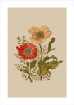 Πόστερ BAROQUE FLOWERS