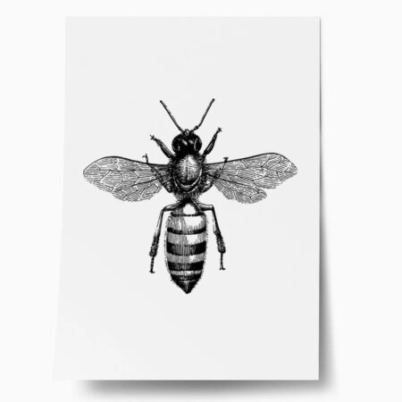 Πόστερ BEE EGRAVING - Ζωα Sticky 1