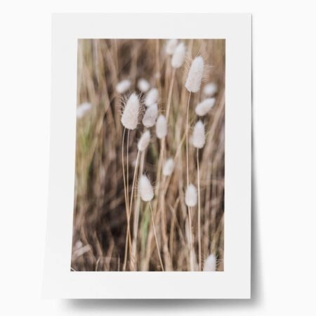 Πόστερ BEIGE FIELD - Botanical - Λουλούδια Sticky 1