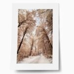 Πόστερ BEIGE WINTER FOREST