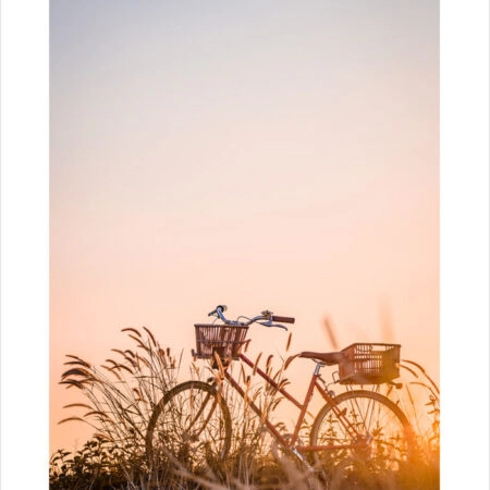 Πόστερ BIKE IN FIELD - Τοπια - Φυση Sticky 2
