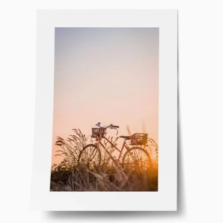 Πόστερ BIKE IN FIELD - Τοπια - Φυση Sticky 1