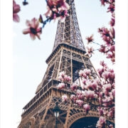 Πόστερ BLOSSOMING MAGNOLIA EIFFEL TOWER - Posters Sticky 2