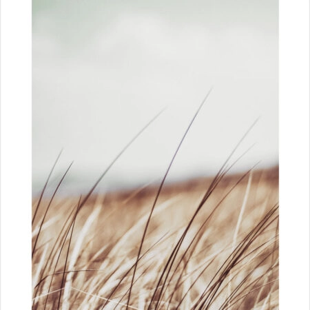 Πόστερ BLUR FIELD - Τοπια - Φυση Sticky 2