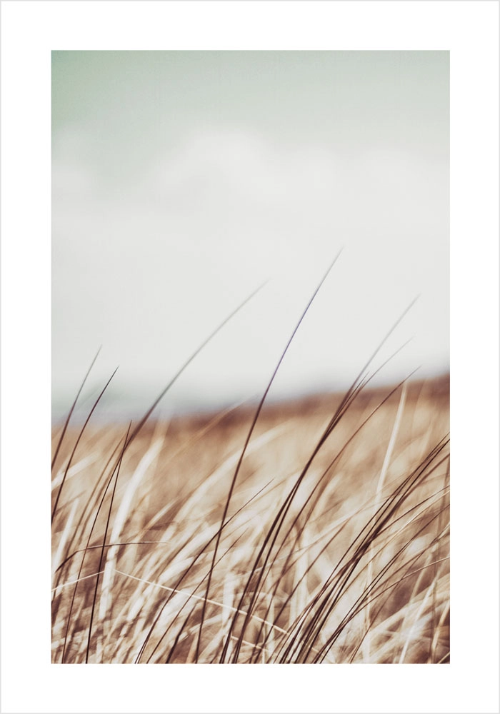 Πόστερ BLUR FIELD
