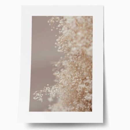 Πόστερ BLURRED WHITE FLOWERS - Botanical - Λουλούδια Sticky 1