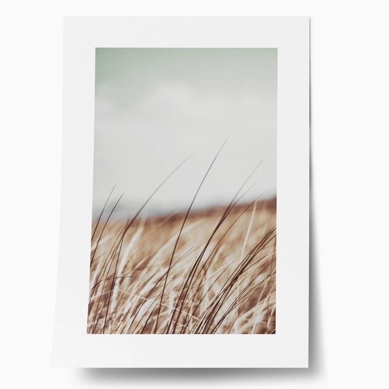 Πόστερ BLUR FIELD