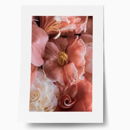 Πόστερ CAMELLIA BLOSSOM - Botanical - Λουλούδια Sticky 1