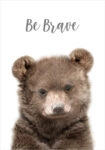 Πόστερ CUTE BEAR