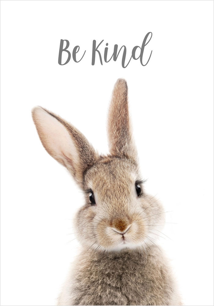 Πόστερ CUTE BUNNY