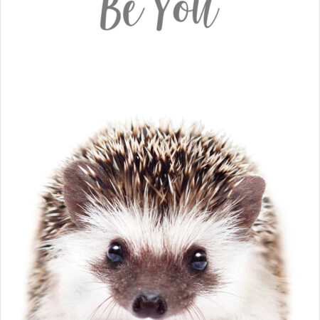 Πόστερ CUTE HEDGEHOG - Παιδικά Sticky 2