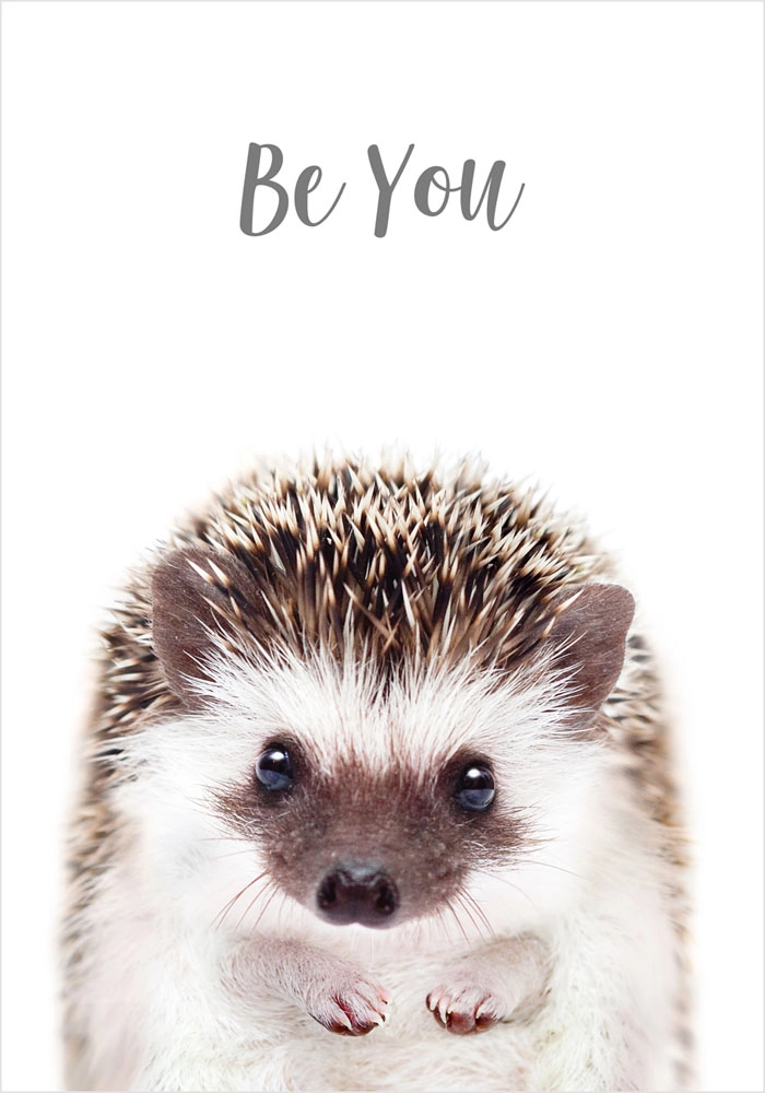 Πόστερ CUTE HEDGEHOG