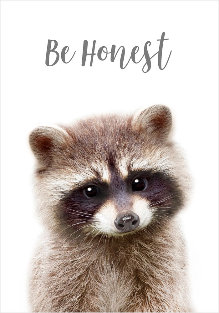 Πόστερ CUTE RACOON