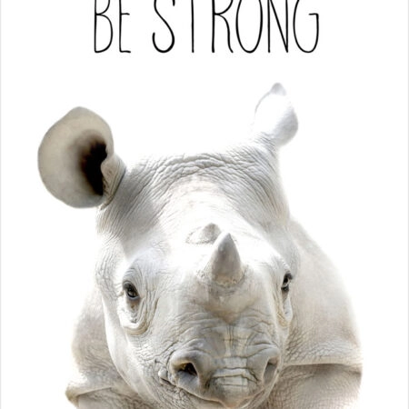 Πόστερ CUTE RHINO - Παιδικά Sticky 2