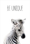 Πόστερ CUTE ZEBRA