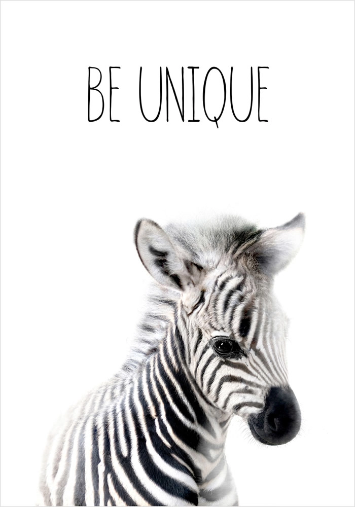 Πόστερ CUTE ZEBRA