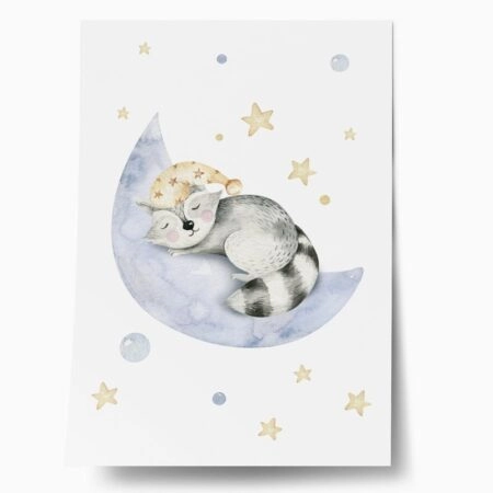 Πόστερ CUTE DREAMING RACOON - Παιδικά Sticky 1