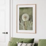 Πόστερ DANDELION