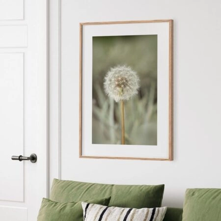 Πόστερ DANDELION