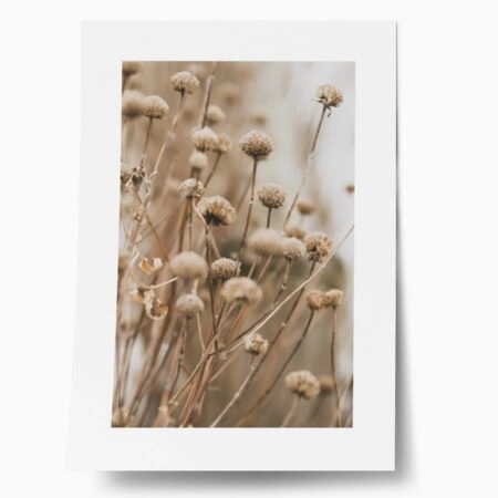 Πόστερ DRIED FLOWERS IN WINTER - Τοπια - Φυση Sticky 1