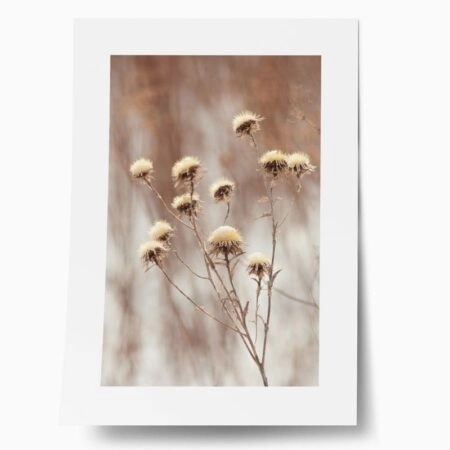 Πόστερ DRY PLANTS - Botanical - Λουλούδια Sticky 1