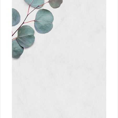 Πόστερ EUCALYPTUS LEAVES - Botanical - Λουλούδια Sticky 2