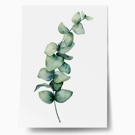 Πόστερ EUCALYPTUS BRANCH - Botanical - Λουλούδια Sticky 1