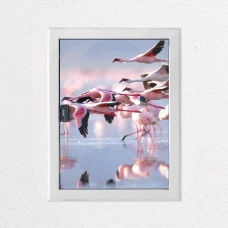 Αυτοκόλλητο ηλεκτρολογικού πίνακα FLAMINGOS