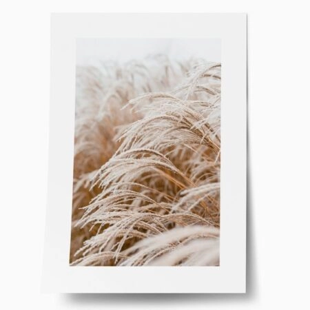 Πόστερ FROSTED GRASS - Τοπια - Φυση Sticky 1