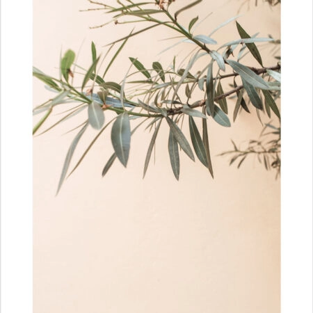 Πόστερ GREEN LEAVES BRANCHES - Botanical - Λουλούδια Sticky 2