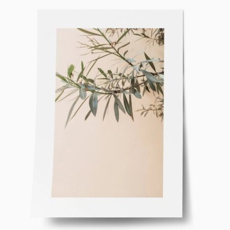Πόστερ GREEN LEAVES BRANCHES - Botanical - Λουλούδια Sticky 1